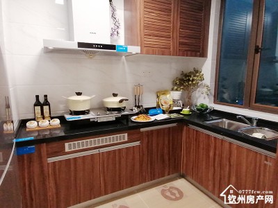 碧桂园红树湾（十里金滩）图2