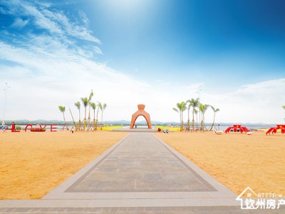 碧桂园红树湾（十里金滩）图5