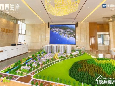 海蓝·凤凰海岸图3