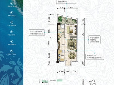 海蓝·凤凰海岸图5